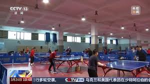乒乓球台台内小三角